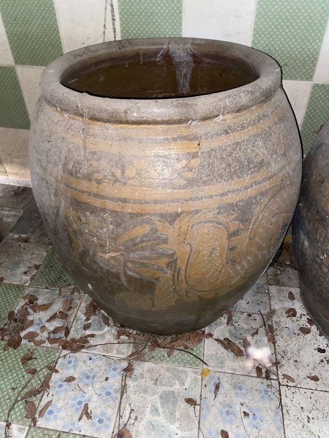 โอ่งมังกรเก่าหลาบใบราคากันเอง รูปที่ 12