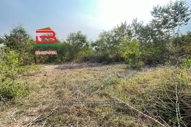 ที่ดินเปล่า เนื้อที่ 57 ตร.ว. ซอยอยู่รวยแลนด์ ถนนรังสิต-นครนายก ตำบลหนองสามวัง อำเภอหนองเสือ ปทุมธานี 2