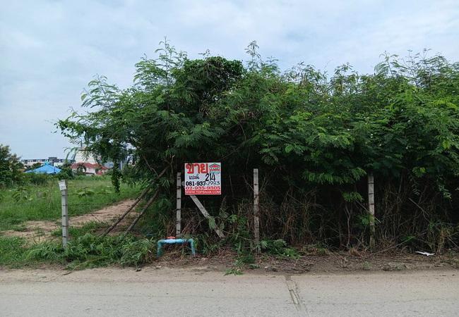 ขายที่ดิน 214 ตร.ว. หน้าม.เกษตรกําแพงแสน ถนนมาลัยแมน อำเภอกําแพงแสน นครปฐม 5