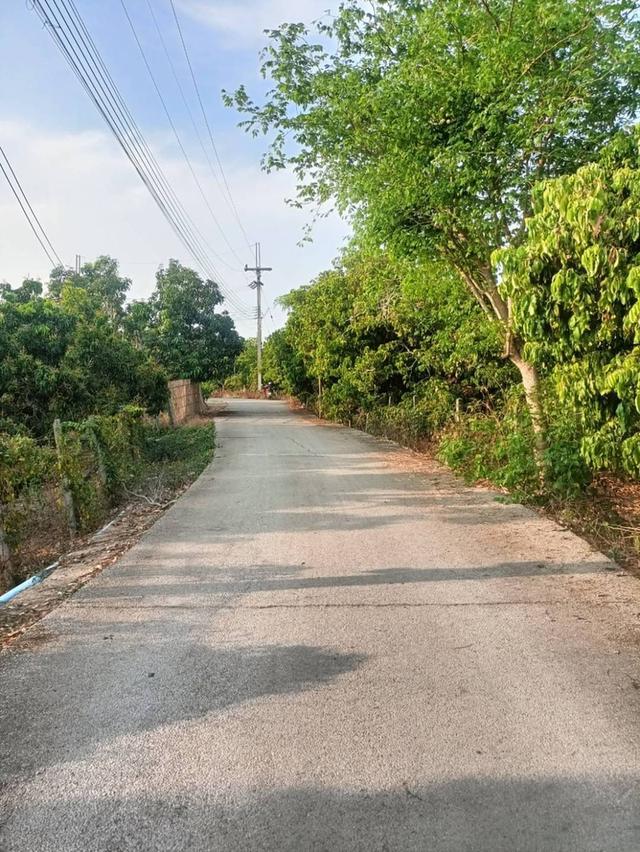 ขายที่ดินโฉนดครุฑแดง (เจ้าของขายเอง) 7