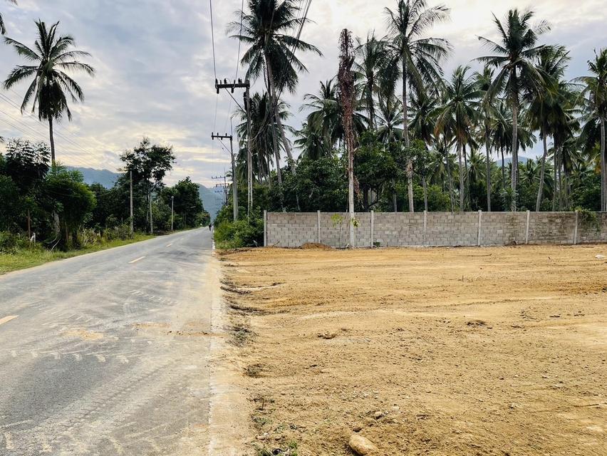 ที่ดินห่างทะเล 500 เมตร สามร้อยยอด ประจวบ เหมาะลงทุนหรือบ้านตากอากาศ 12