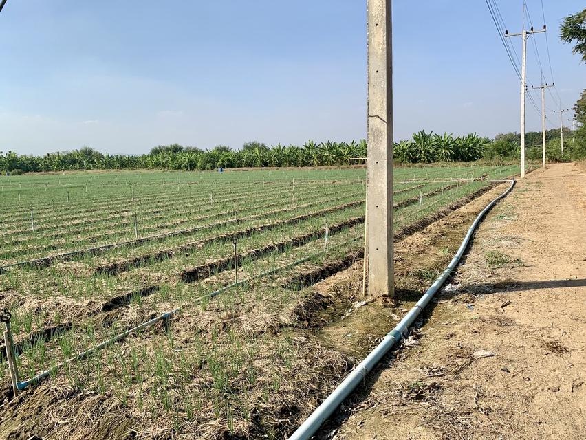 ขายที่ดินสวย2แปลง เนื้อที่รวม26ไร่เศษ ใกล้มอเตอร์เวย์ สภาพแวดล้อมดี เหมาะลงทุน,จัดสรร,ทำเกษตรหรืออื่นๆ คมนาคมสะดวก 5