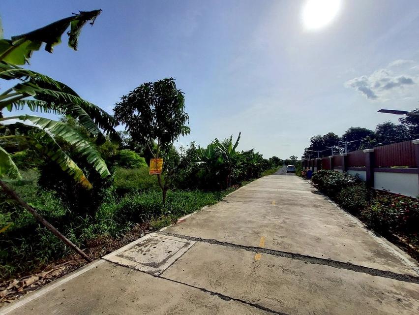 ที่พิน 8