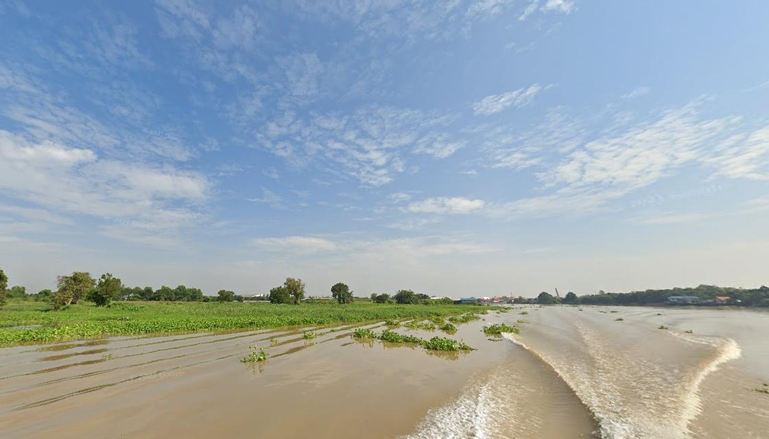  ขายที่ดิน119ไร่ แม่น้ำเจ้าพระยา พื้นที่สีชมพู หน้ากว้าง 235ม. ถนนปทุมธานี-สายใน   ตำบล บางปรอก อำเภอเมืองปทุมธานี  2
