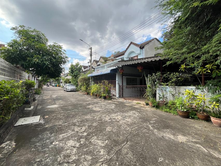 ที่ดิน 50 ตรว.พร้อมทาวน์เฮ้าส์ 2 ชั้น 5