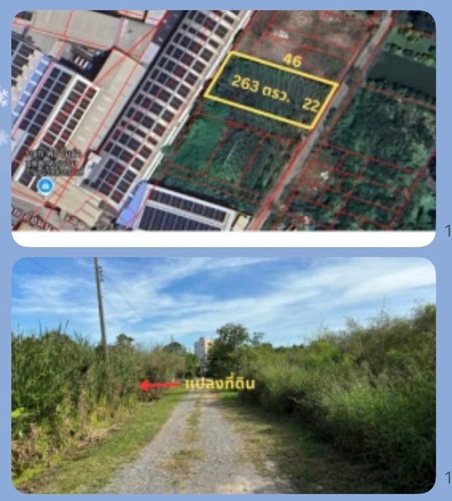 ที่ดิน อ่อนนุช 80 แยก 5 ใกล้ถนนเมนสุขุมวิท 77 263 ตรว. ตารางวาละ 36,996 เท่านั้น 1