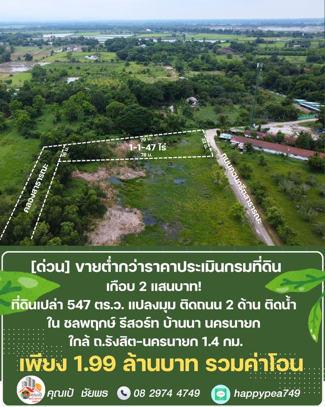 ขายที่ดิน 547 ตร.ว. บ้านนา นครนายก แปลงมุม ติดถนน ติดคลอง ต่ำกว่าราคาประเมิน ในชลพฤกษ์รีสอร์ท 3