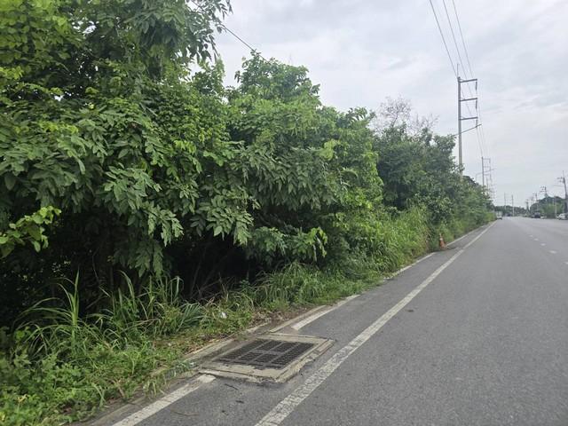 ขายที่ดินเปล่า 8-3-73.3 ไร่ ถนนสวนพริกไทย แยกตึกเหลือง เมืองปทุมธานี ใกล้วัดเสด็จ 3