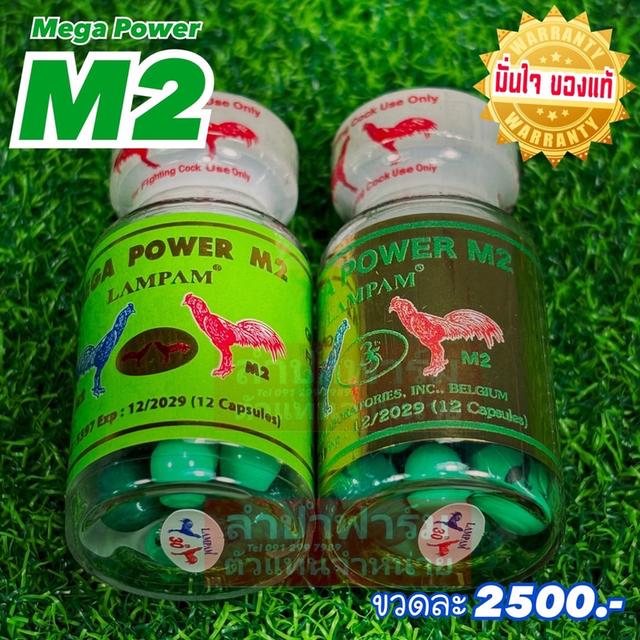 ยาไก่ชน MEGA POWER M2 รูปที่ 2