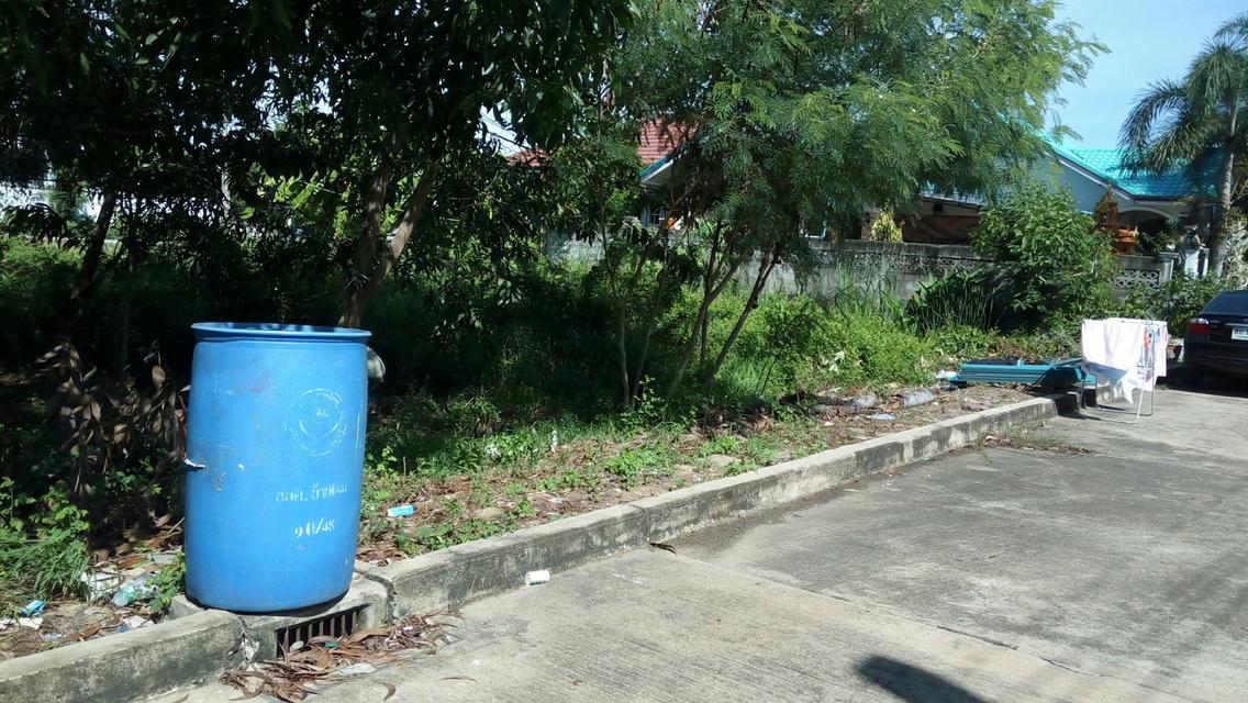 ที่ดิน 70 ตร.ว. ต.บางใหญ่ จ.นนทบุรี 3