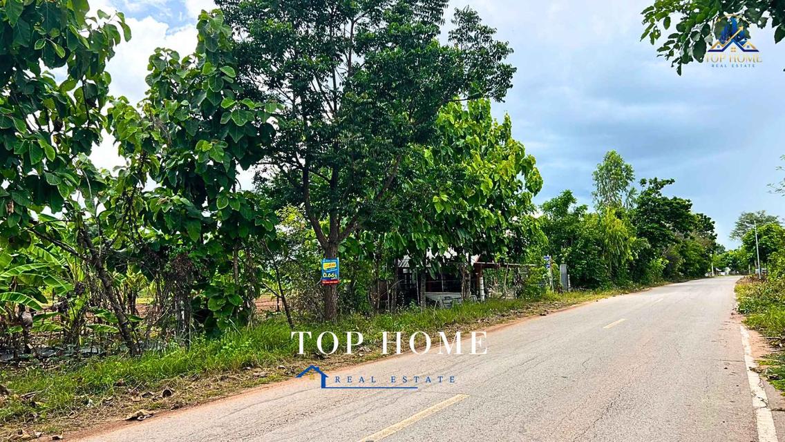 ขายด่วน! ที่ดินแปลงใหญ่ ติดถนน ทำเลดี ตำบลหนองแปน อำเภอมัญจาคีรี จังหวัดขอนแก่น 7