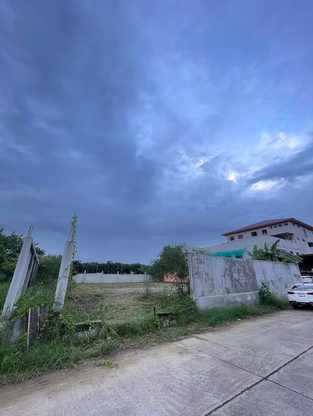 ขายที่ดิน 140 ตรว พุทธมณฑลสาย2  ใกล้พรานกตัดใหม่-สาย4 1