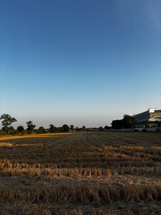 ขายที่ดิน 23ไร่50ตารางวา ห่างถนนใหญ่เพียง800เมตร ที่ดินติดหมู่บ้านCasalena ห่างmrtสถานีตลาดมีนบุรี4.8กิโลเมตร ถนนนิมิตใหม่ซอย22 เขตคลองสามวากรุงเทพฯ 4