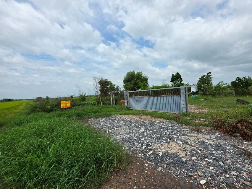 ขายที่ดินเปล่า1 ไร่ ถนนเลียบคลองหนองขุม ใกล้มศว องครักษ์ นครนายก 2