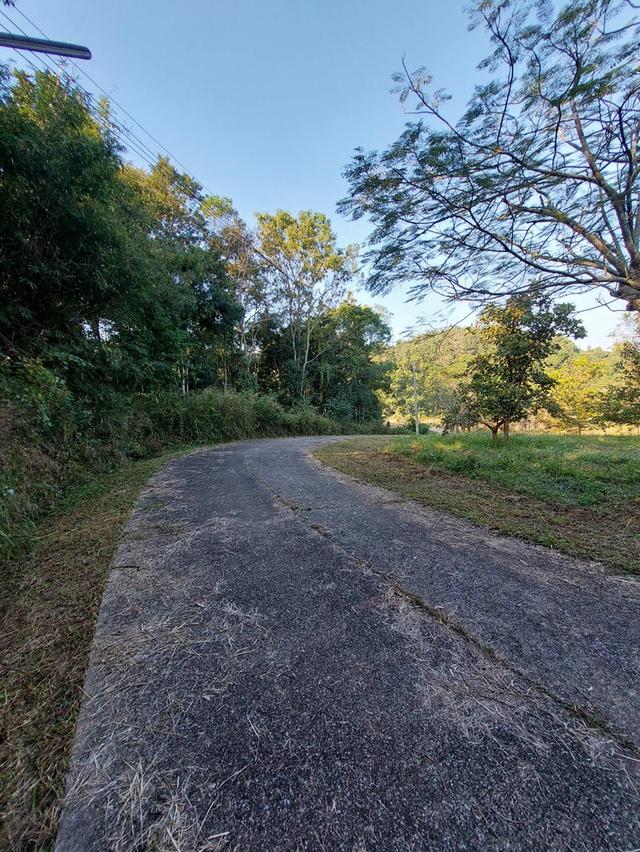 ขาย/ให้เช่าที่ดินเชียงราย 5