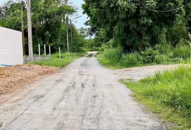 ขายที่ดินสวยถมแล้วมาบไผ่บ้านบึงชลบุรี ที่ดินปรับถมเรียบร้อยแล้วเนื้อที่ 50ตรว 6