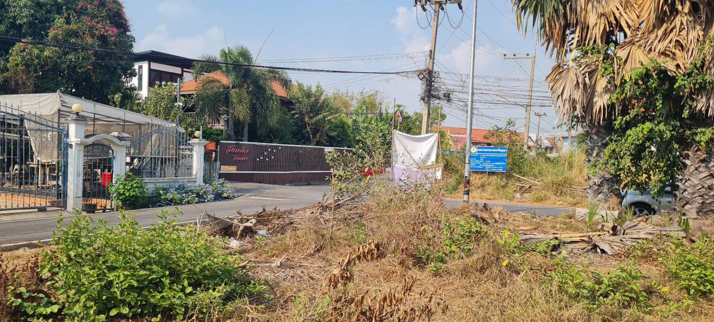 ขายที่ดิน 100 ตารางวา ตำบลท่าวาสุกรี (คลองสระบัว) อำเภอพระนครศรีอยุธยา จังหวัดพระนครศรีอยุธยา 6