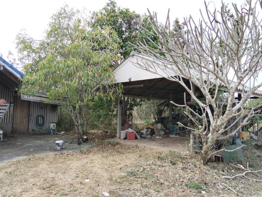 ขายที่ดินพร้อมบ้าน 3ไร่ หมู่บ้านหนองตาฉาว ตำบล เขากระปุก อำเภอท่ายาง เพชรบุรี ขายทั้งแปลง 2 ล้าน 2