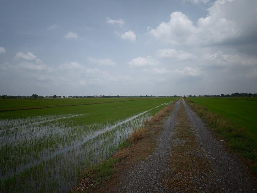 ที่ดิน 1 ไร่ คลอง 6 ปทุมธานี(ใกล้เส้น 352) 3
