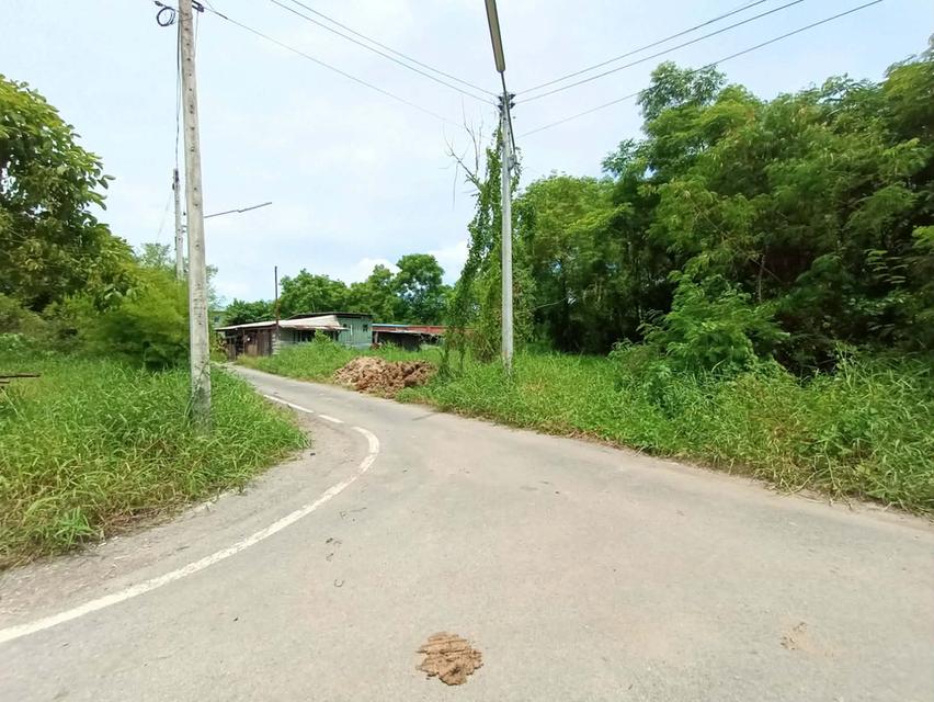 ถูกกว่านี้ไม่มีอีกแล้ว! ที่ดิน 101 ตร.ว. ทำเลสวย แปลงมุม ติดถนน อยากเป็นเจ้าของที่ดินใกล้ มทร ธัญบุรี นัดตรวจเช็กพิกัดและดูหน้างานจริงได้ทุกวันครับ/ค 2