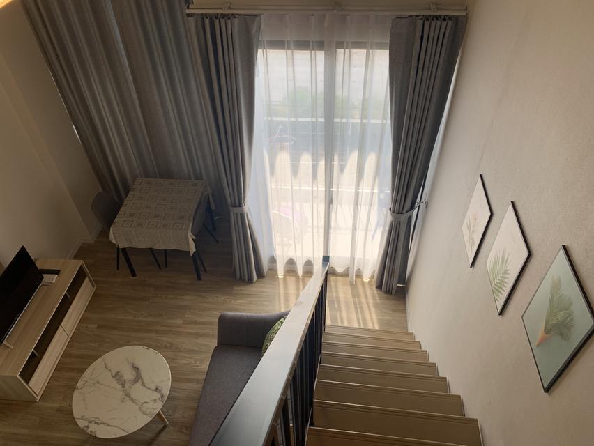 ให้เช่า Blossom Condo at  Fashion Beyond at Fashion 2