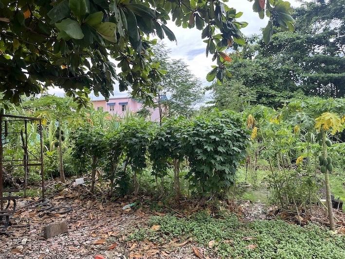 ขายวาละ 45,000 ที่ดิน 191 ตารางวา ซอยเพชรเกษม 68 แยก 30 5