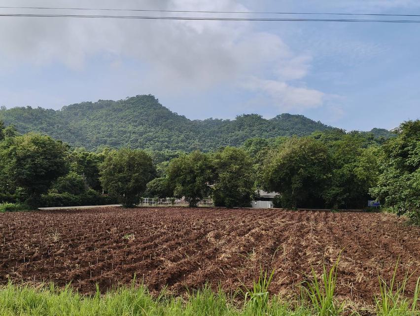 ขายที่หนองน้ำแดง เขาใหญ่ ใกล้ธนะรัชต์ 3 ไร่ ที่ดินวิวเขาสวยล้อมรอบ ใกล้ภูเขา ใกล้มอเตอร์เวย์M6 เดินทางสะดวก ใกล้ตัวเมืองปากช่อง ตลาดร้านค้า โรงพยาบาล 4