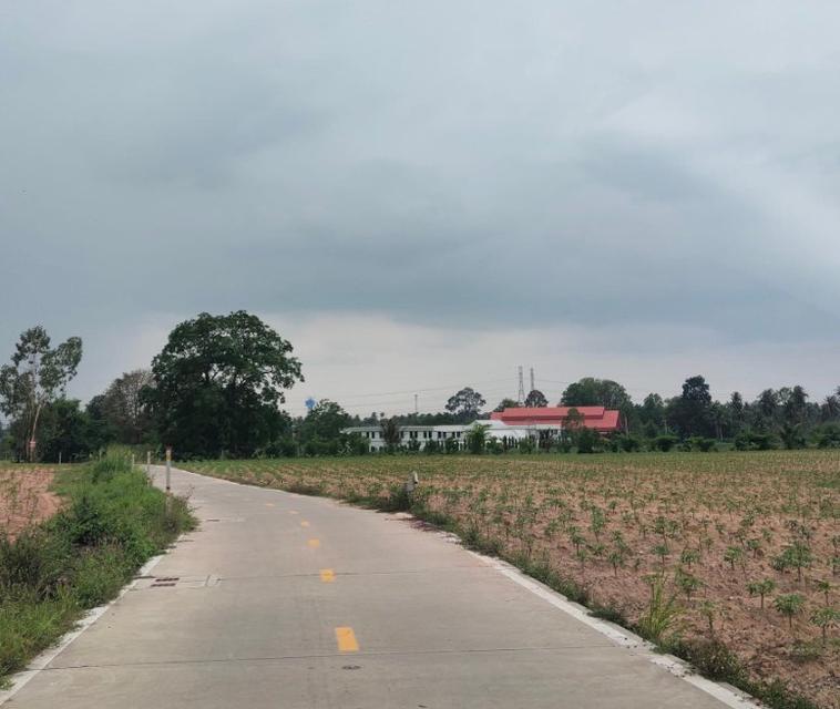 ขายที่ดินบึง หนองแขวะติดถนนคอนกรีต 1 ไร่ 3 งาน ใกล้ถนนเส้น3009-850เมตร อ.ศรีราชา ชลบุรี 2