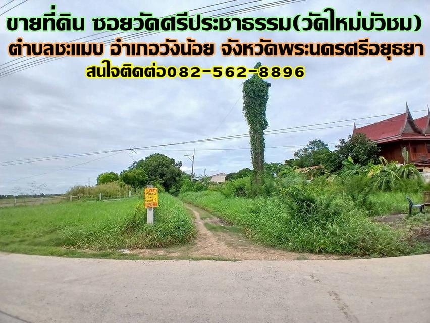 ขายที่ดิน ซอยวัดศรีประชาธรรม(วัดใหม่บัวชม) วังน้อย 1