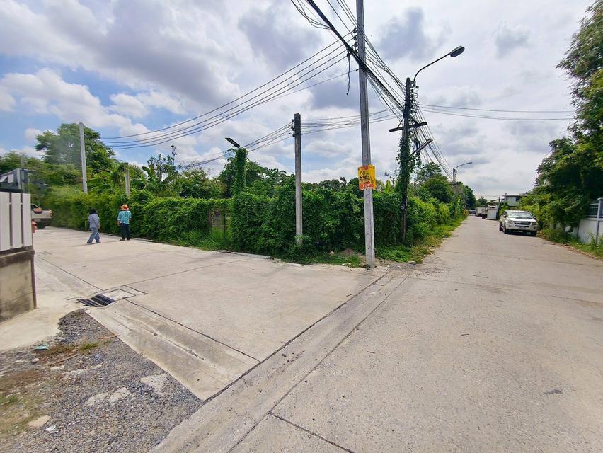 ขายด่วนที่ดินถนนติวานนท์ 50 ตรว ติดถนนคอนกรีต ถมแล้ว บางพูด ปากเกร็ด นนทบุรี 6