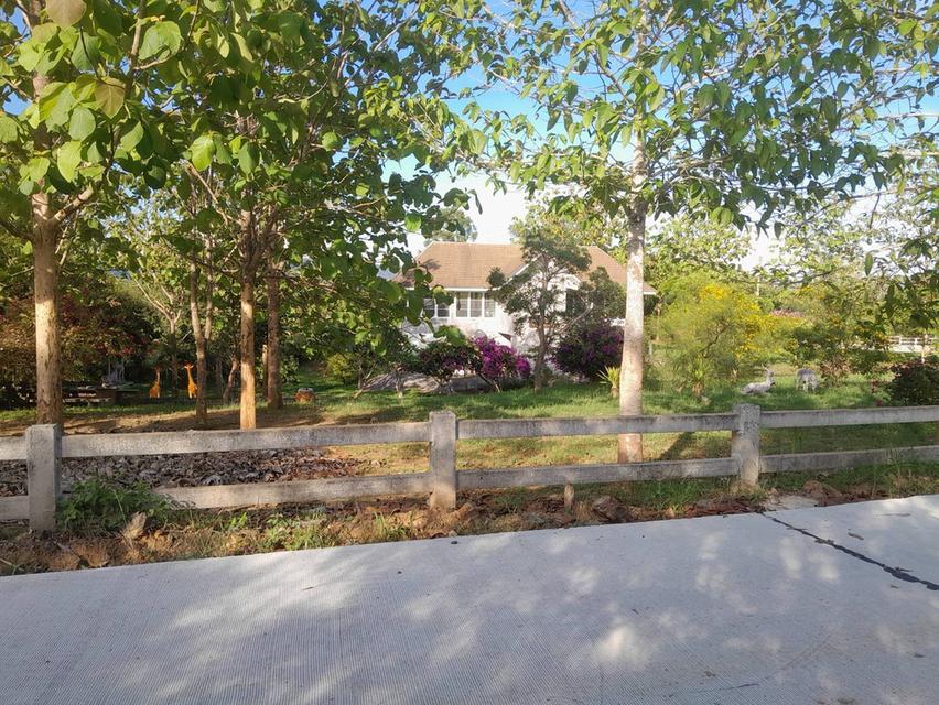 ที่ดินพร้อมบ้าน 2 ไร่ 2.7 ล้าน ต.วังหมี บ้านโคกสันติสุข 6