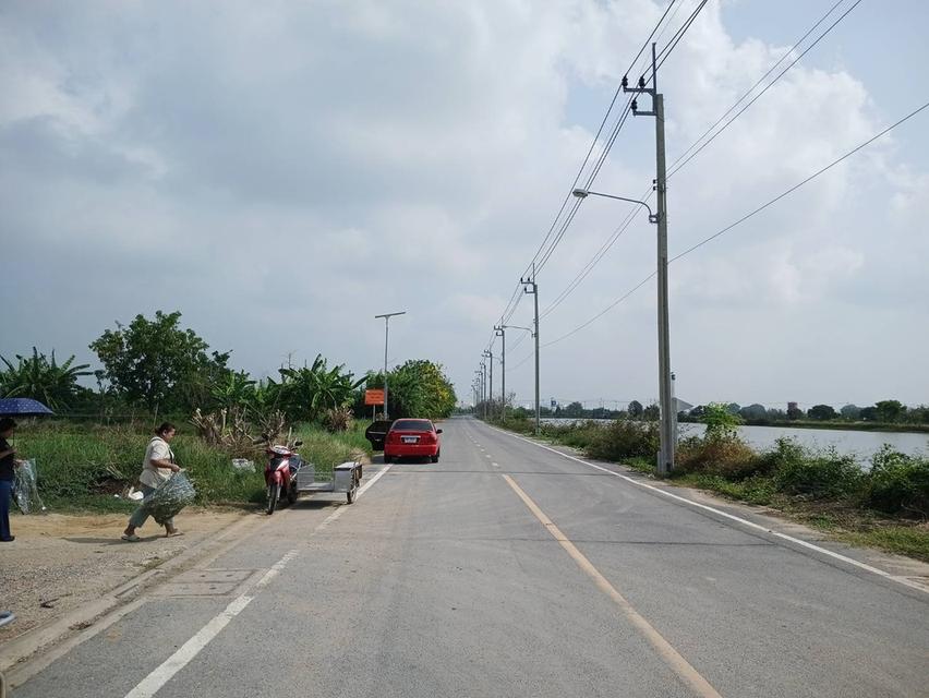 ขายที่ดิน วัดหนองปลือ สมุทรปราการ 3