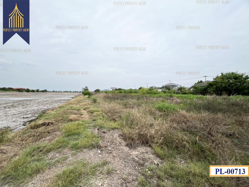 ขายที่ดิน 77ไร่ แบ่งได้ สีม่วงเข้ม สร้างโรงงาน บางบ่อ สมุทรปราการ ใกล้นิคมเวลโกรว Wellgrow Industrial Estate 4