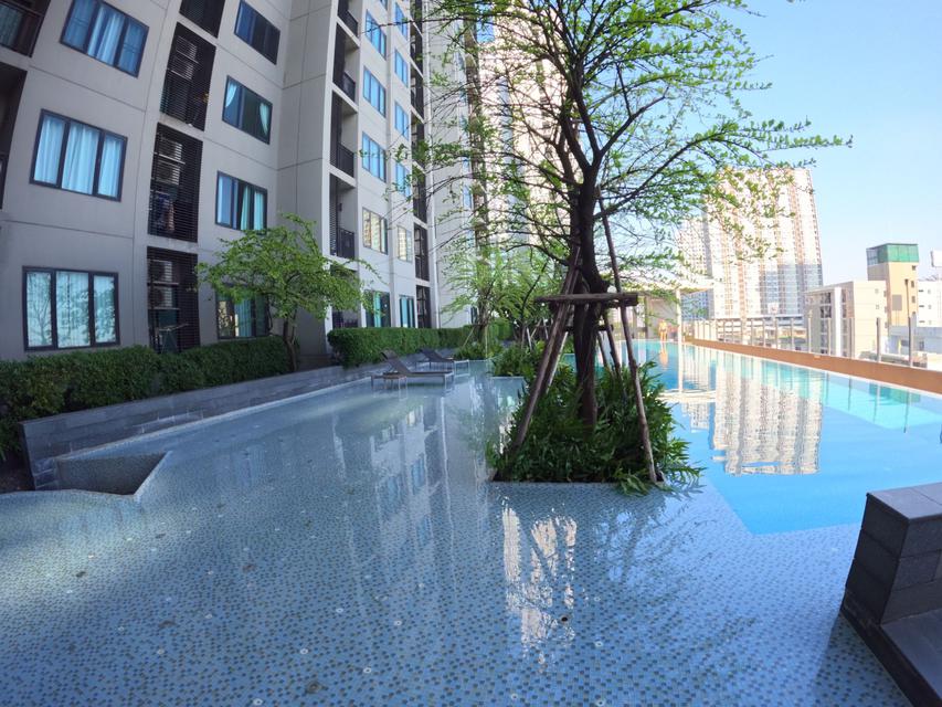 1 Beds condo for sale high view 21Floor Big project quality and very good management 2