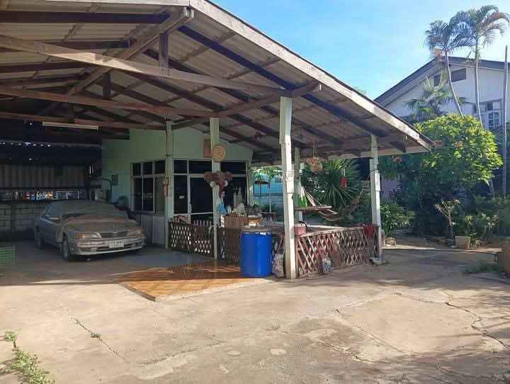 บ้านและที่ดิน 180ตรว. อยู่ใน อ.หนองม่วง จ.ลพบุรี 5