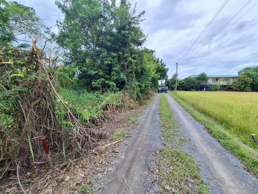 ขายด่วนที่ดินใกล้ราชภัฏสวนสุนันทา 624 ตรว ติดถนนสาธารณะ คลองโยง พุทธมณฑล นครปฐม 3
