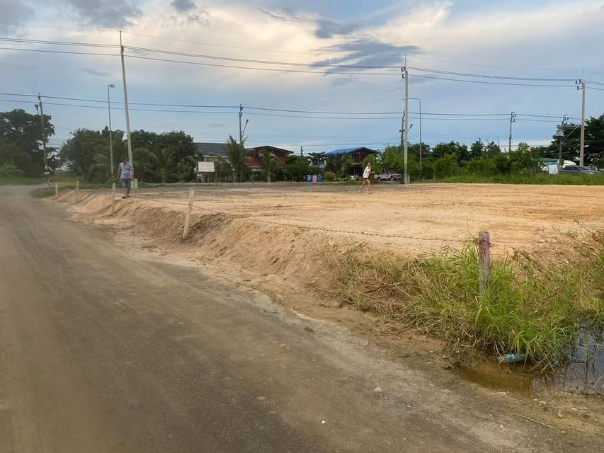 ขายที่ดินเปล่า ติดถนนใหญ่ 4