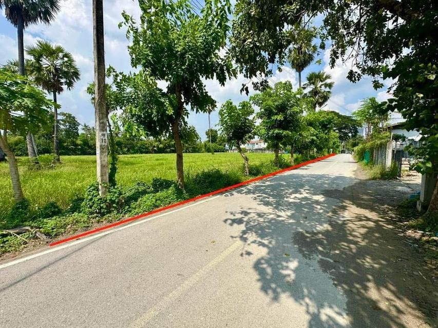 ขายถูก ที่ดิน เมืองนนทบุรี ( 25,000/ตร.ว.) 11