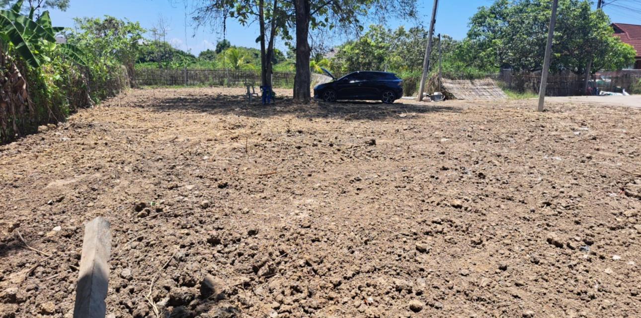 ที่ดินเปล่า 180 ตรว. น้ำพร้อม ไฟพร้อม  5