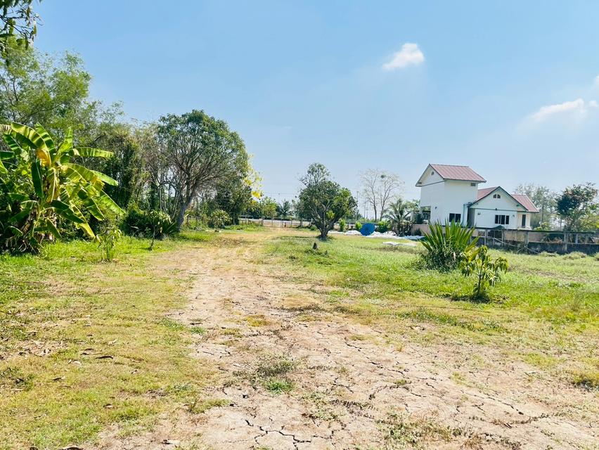 ที่ดิน พร้อมบ้านเดี่ยว 2 ชั้น ถนนรังสิต-นครนายก ตำบลบึงน้ำรักษ์ อำเภอธัญบุรี จังหวัดปทุมธานี 13