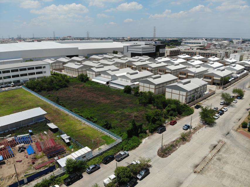 ขาย ที่ดิน โครงการ MMC Factory นิคม นวนคร 3 ไร่ 1 งาน 8.3 ตร.วา แปลงสวยสี่เหลี่ยม ผังเมืองสีม่วง เหมาะสร้างโรงงาน 2