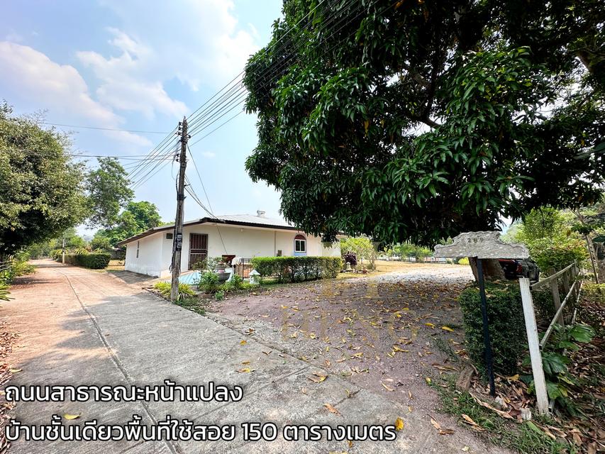 ขายด่วน ที่ดินพร้อมสิ่งปลูกสร้าง 5 ไร่เศษ วิวภูเขาพาโนรามา ติดถนน 1173 ต.เมืองชุม อ.เวียงชัย เชียงราย 20