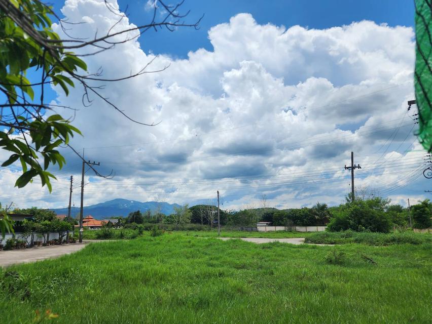 ที่ดิน อ.แม่ริม จ.เชียงใหม่ 1