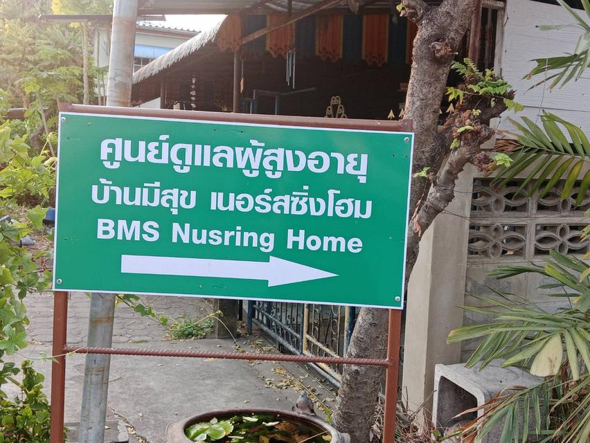 ขายที่ดินจัดสรรพหล-สายไหมอีกแปลง 99 ตารางวาอีกแปลงข้างอีกฝั่งซอยที่แปลงขาย แปลงมุม89 วาที่น้องดูแลอยู่อีกฝั่งถนน พหลโยธิน 54/1 แยก 8-4-3 ซอยตาลเดี่ยว 8