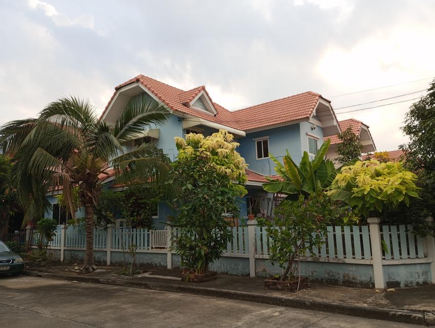 บ้านเดี่ยวหลังใหญ่  คนชอบต้นตอไม้ 3