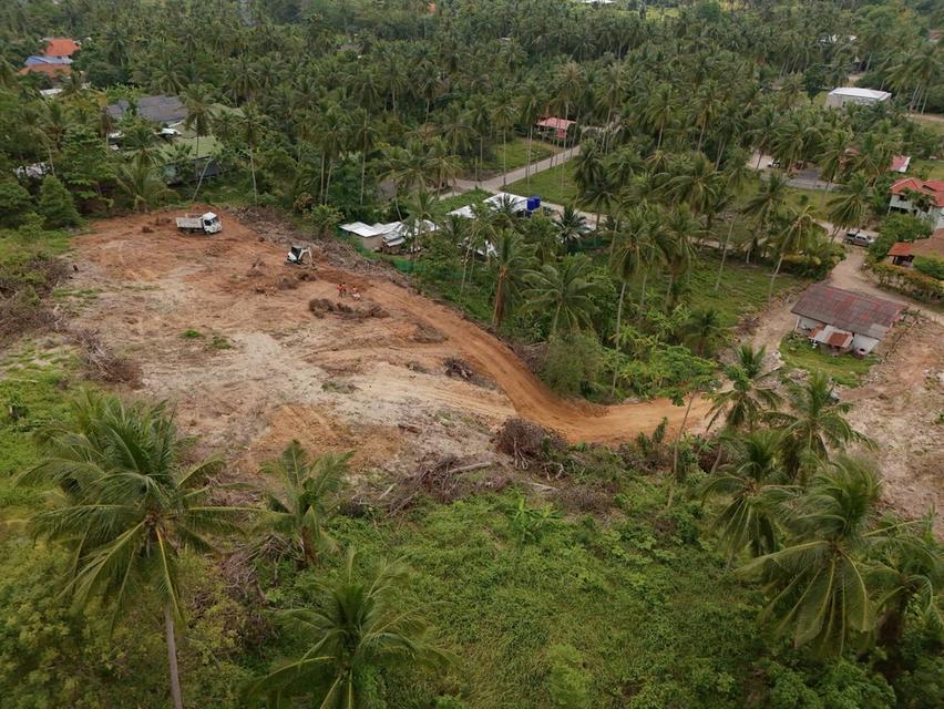 ขายที่ดินเกาะสมุย 2 ไร่ ตลิ่งงาม ใกล้ทะเล แบ่งขาย เหมาะสร้างวิลล่าและรีสอร์ต 6