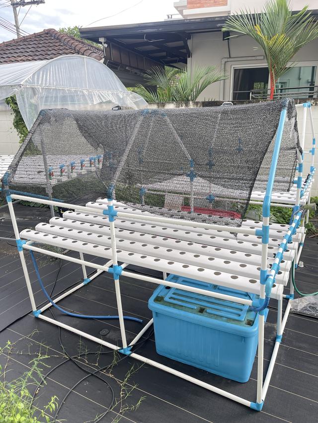 แปลงผักไฮโดร โต๊ะปลูกผัก