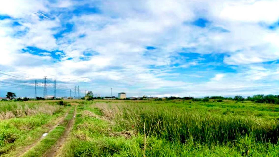 ที่ดินเปล่า 5