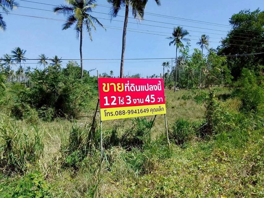 ขายด่วน! ที่ดินทำเลทอง ติดถนนใหญ่ ทับสะแก-หาดวนกร 12 ไร่เศษ เหมาะพัฒนาโครงการ น่าลงทุน 2