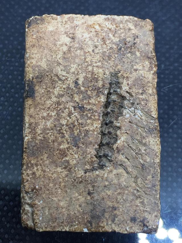 พระสมเด็จ หลังก้างปลา รูปที่ 3